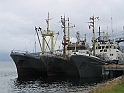 Obraz 242